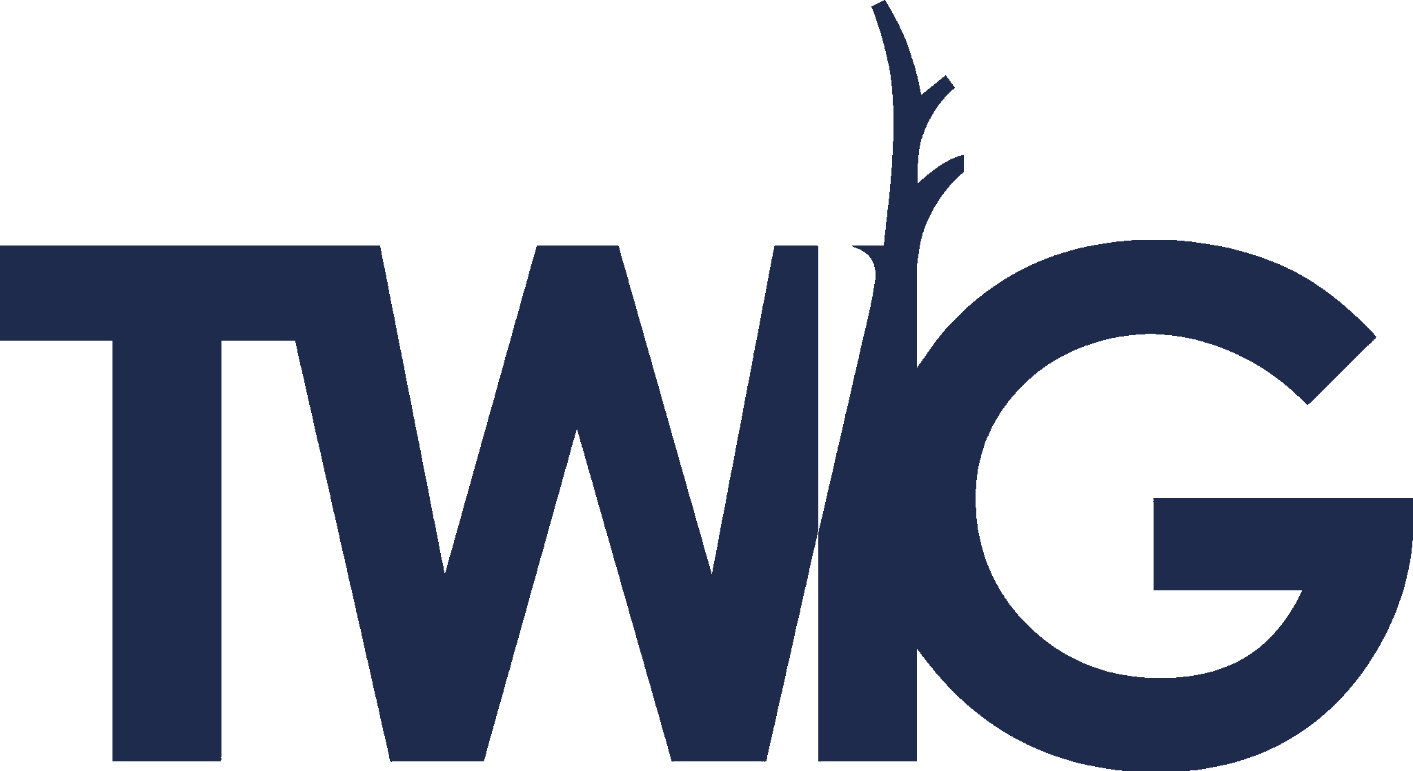 Twig International Logo